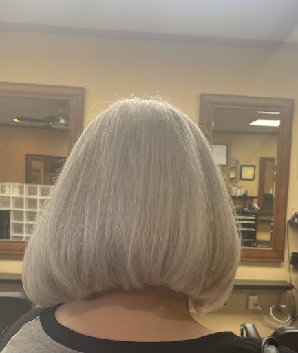 Platinum Hair & Spa Salon