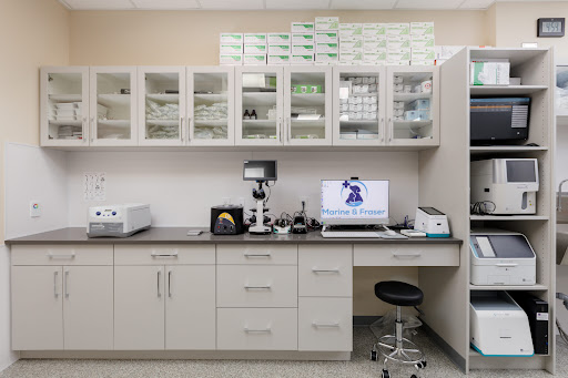 Marine and Fraser Veterinary Clinic