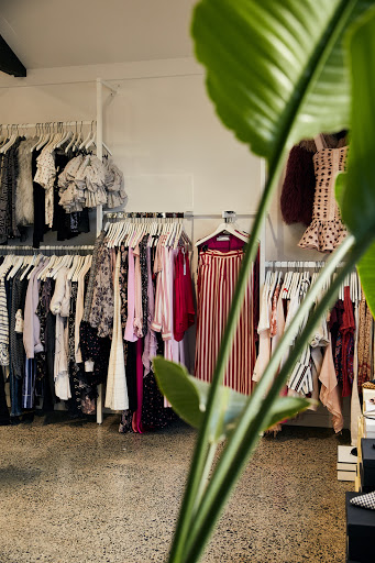 Superette Surplus Gallery - New Zealand