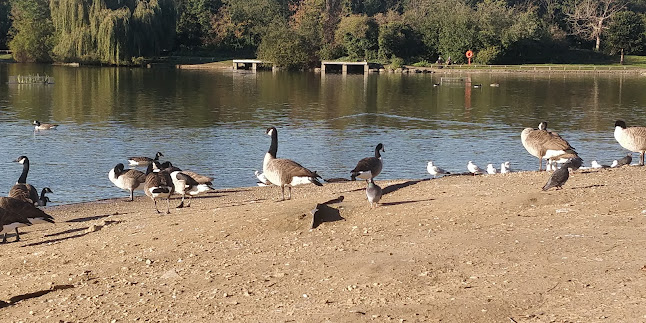 Comments and reviews of Beckton District Park