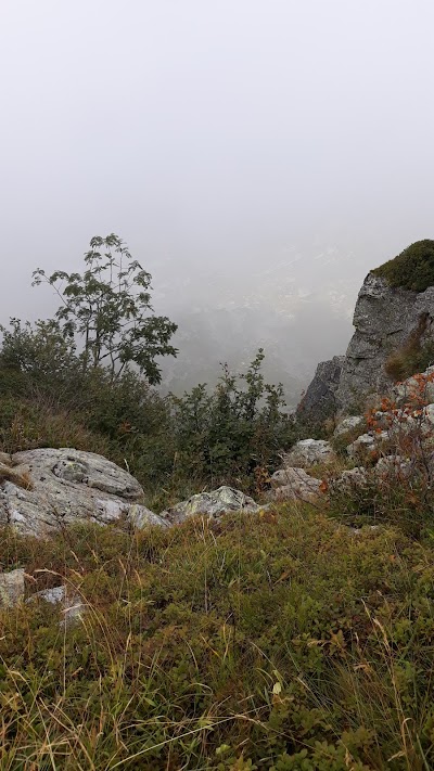 Monte Vaccarezza