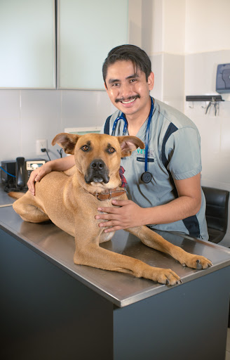 VETME - Hospital Veterinario Hipódromo