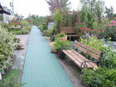 Photos of Vivai Piante Trevisan srl