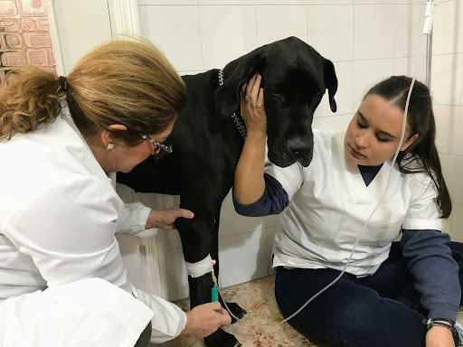 CENTRO VETERINARIO VALENCINA