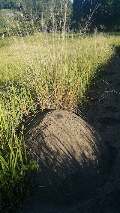 Photos of Msinsi Community Conservancy