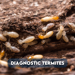 Photo n°22 de Activ'Expertise Menton à Menton (Centre de diagnostic)