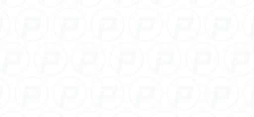 Precise Freight Audit - Visual