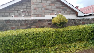 Photos of Kapsoya Estate