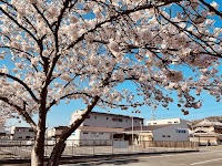 うさぎや薬局加茂店