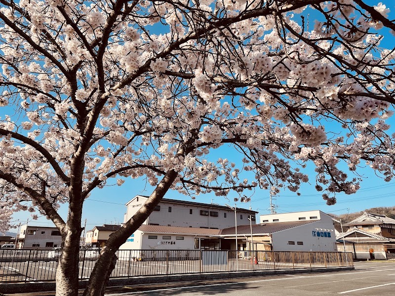 うさぎや薬局加茂店