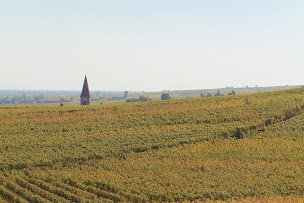 Photo n°11 de EARL Jean-Rémy Waller à Wettolsheim (Cave à vins)