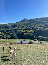 Photo n°5 de La Chèvrerie de Céüse à Sigoyer (Vacances à la ferme)