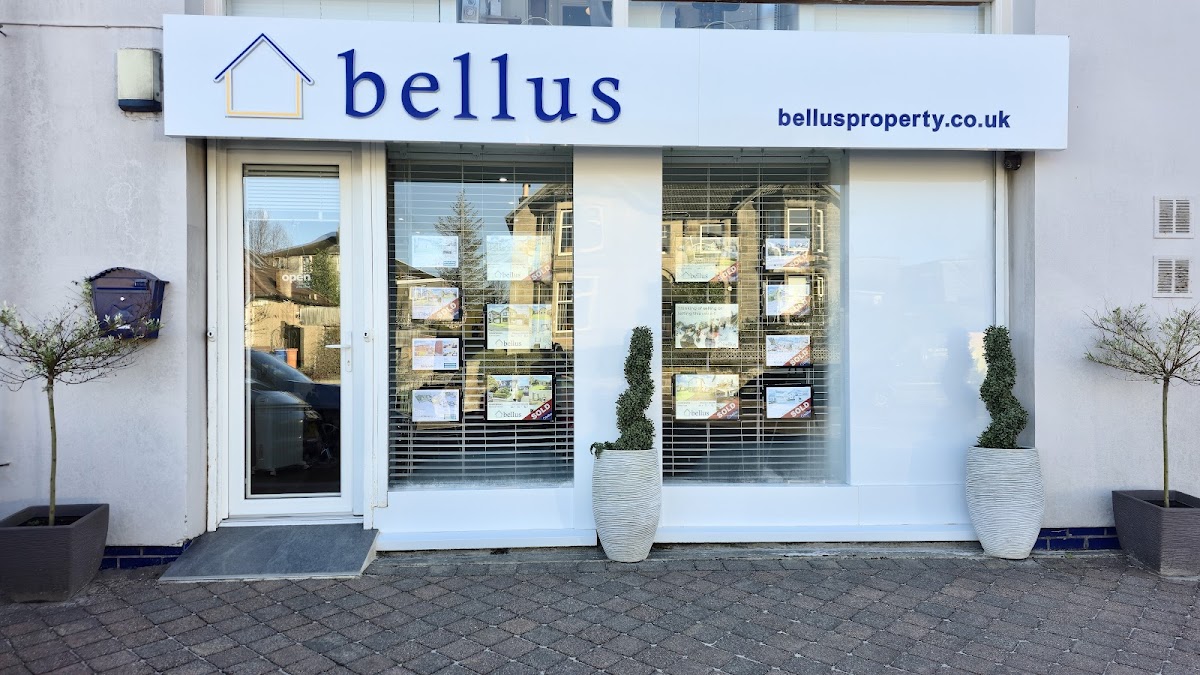 bellus Property