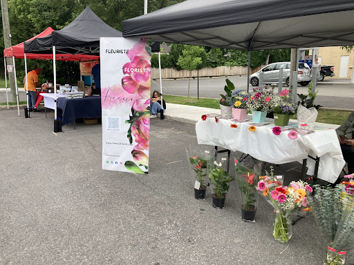 Freesia florist - Visual