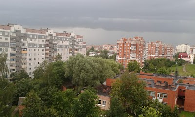 Photos of Chkalovskiy Rynok