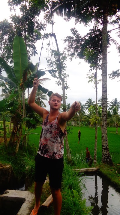 Photos of Tereng Wilis Eco Tourism Village