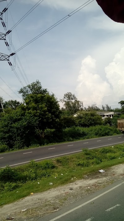 Photos of Raita