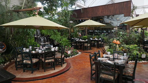site_photo2