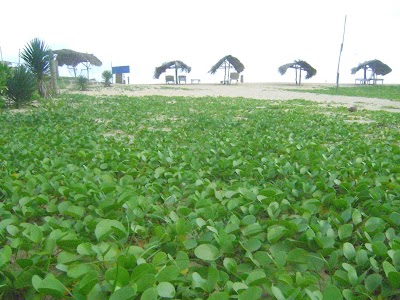 Photos of Gems Garden Guest House & Restaurant