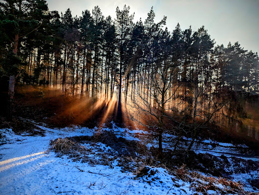 Abraham's Valley - Thumbnail