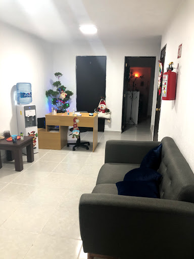 Dental Krysli - Thumbnail