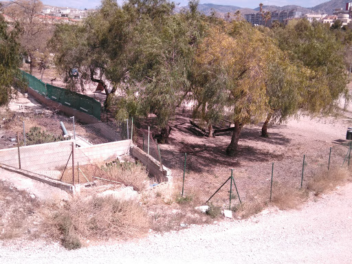 Canino Elda Park - Thumbnail