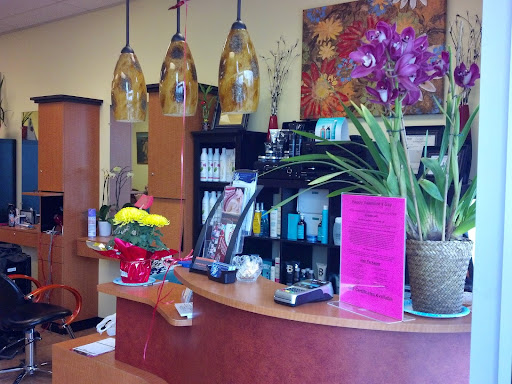 Aesthetic Beauty Salon - Thumbnail