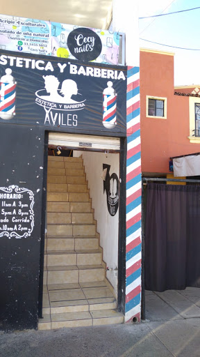 Estetica y Barberia AVILES Gallery - Mexico