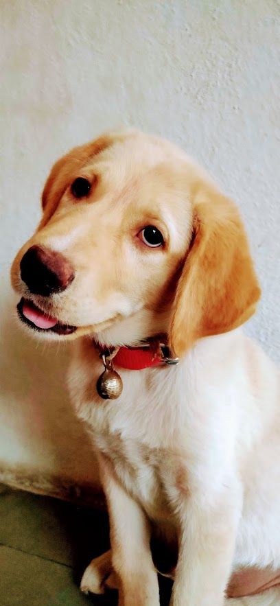 Atharva Veterinary Laboratory