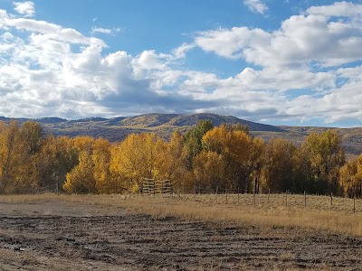 Davis Family Farms