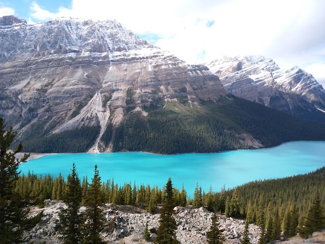 Lac Peyto