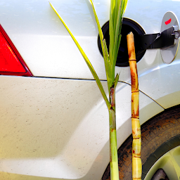 Photo n°5 de GPAuto | Garage automobile à Rouffiac-Tolosan (Service d'esthétique automobile)