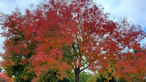 Linear Park Trail - Thumbnail