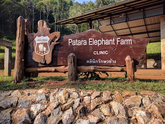 Patara Elephant Farm