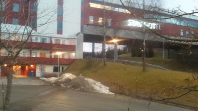 Photos of Best Western Stav Hotel