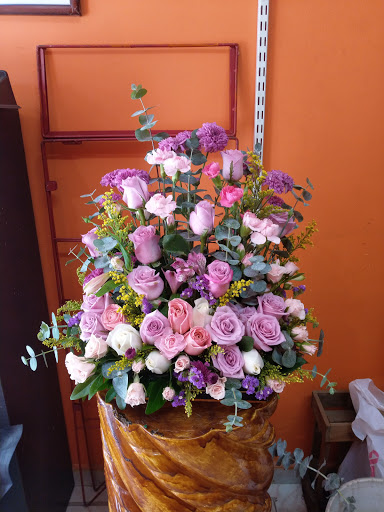 Espacio floral - Visual
