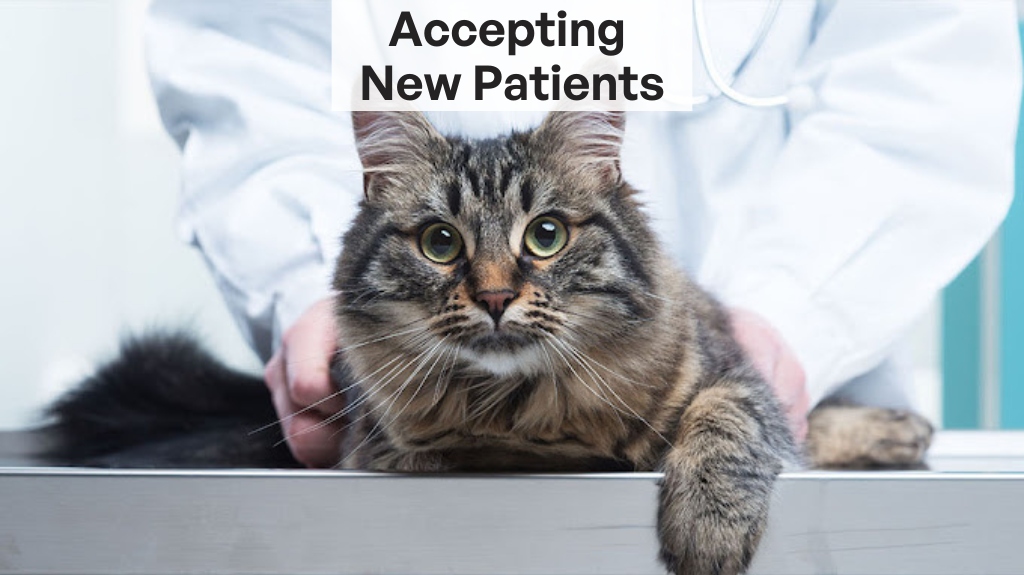 Ambleside Animal Hospital