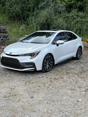 Savage auto body and paint specialist LLC.