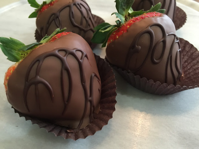 Chocolate Lab by null