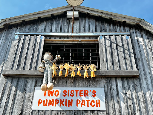 Two Sisters Pumpkin Patch - Visual