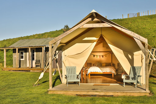 Ridge Top Farm Walk Gallery - New Zealand
