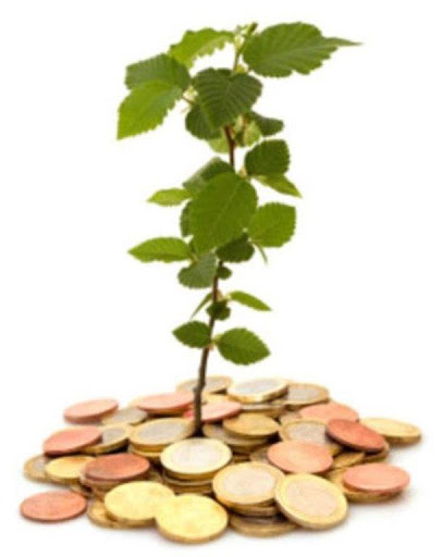 Finanzmentorin f. selbstbestimmte Anleger, die ihr Vermögen ethisch sinnvoll vermehren möchten - Thumbnail