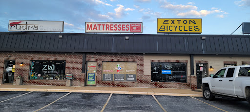 Exton Bicycles - Visual