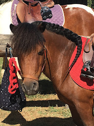 Photo n°9 de Les sabots du Lin à Saint-Laurent-de-Lin (Centre équestre)