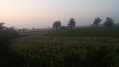 Photos of Nag Aespen