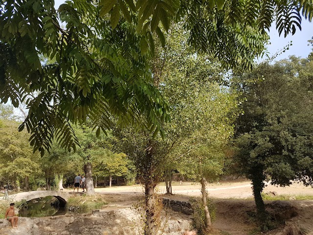 Sources de Nayes