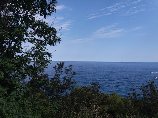 Comunione Pineta Di Arenzano - Thumbnail