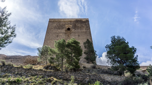 Torre Alfonsina - Thumbnail