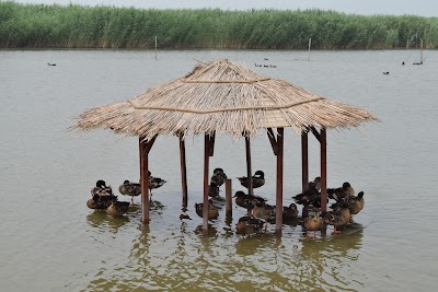 Photos of Qilihai National Wetland Park