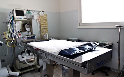 Photos of Surgery Veterinarian Dr.Ssa Stefania Zanini